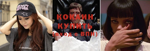 крисы Баксан
