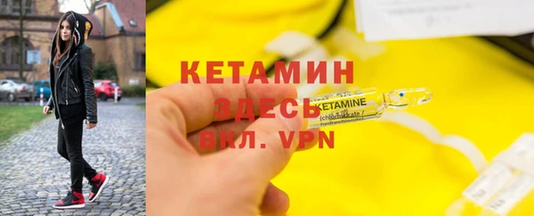 крисы Баксан