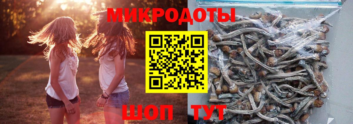 Псилоцибиновые грибы мицелий  Псилоцибиновые грибы мухоморы  Вход с VPN  Ставрополь 