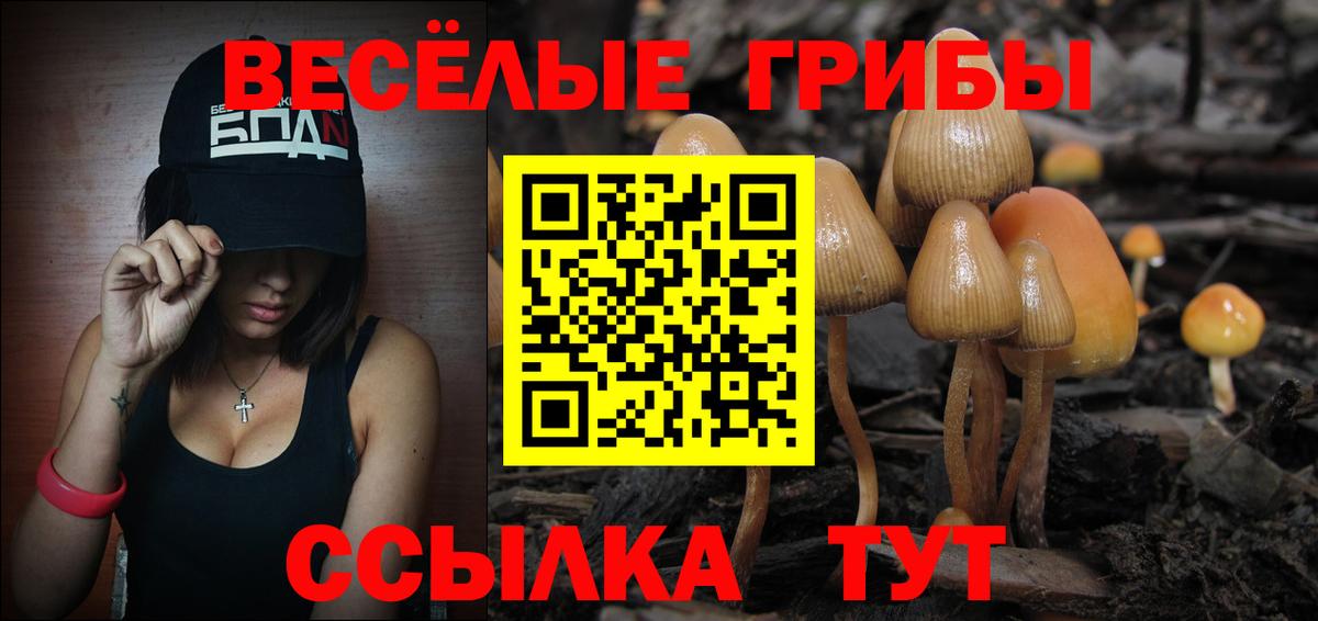Псилоцибиновые грибы мицелий Ставрополь