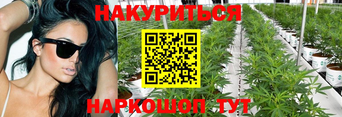 Бошки марихуана марихуана  МАРИХУАНА VHQ  Бошки марихуана THC 21%  Ставрополь  Вход с VPN 